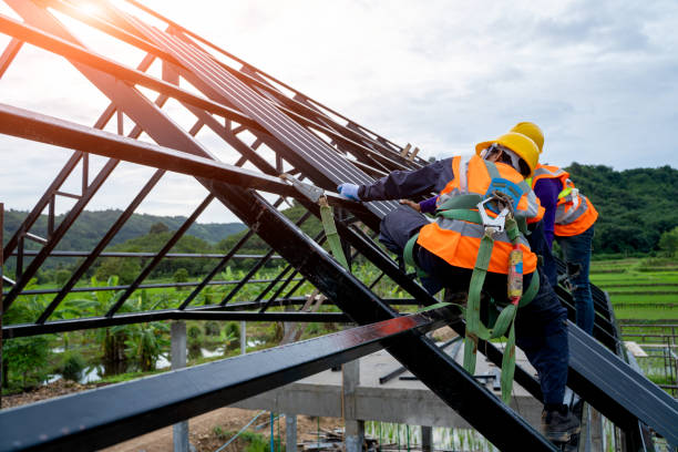 Best Metal Roofing Contractor  in Bridge City, LA