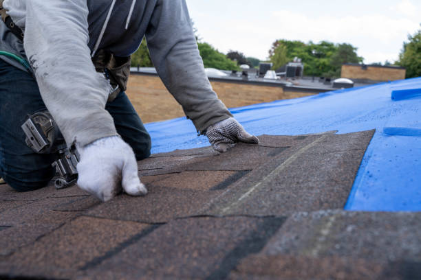 Best Residential Roofing Contractor  in Bridge City, LA